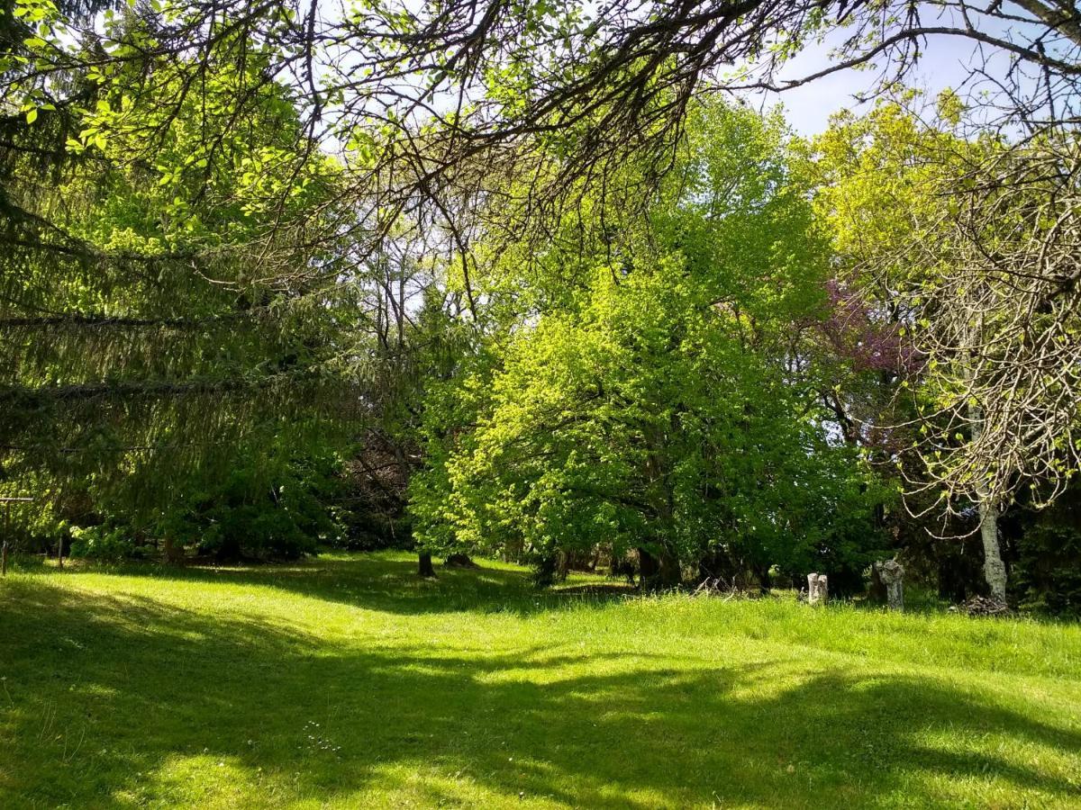 Pyrenees Vue Gite - Vues Fantastique, Parking Gratuit Sur Place & Piscine Saint Gaudens Bagian luar foto