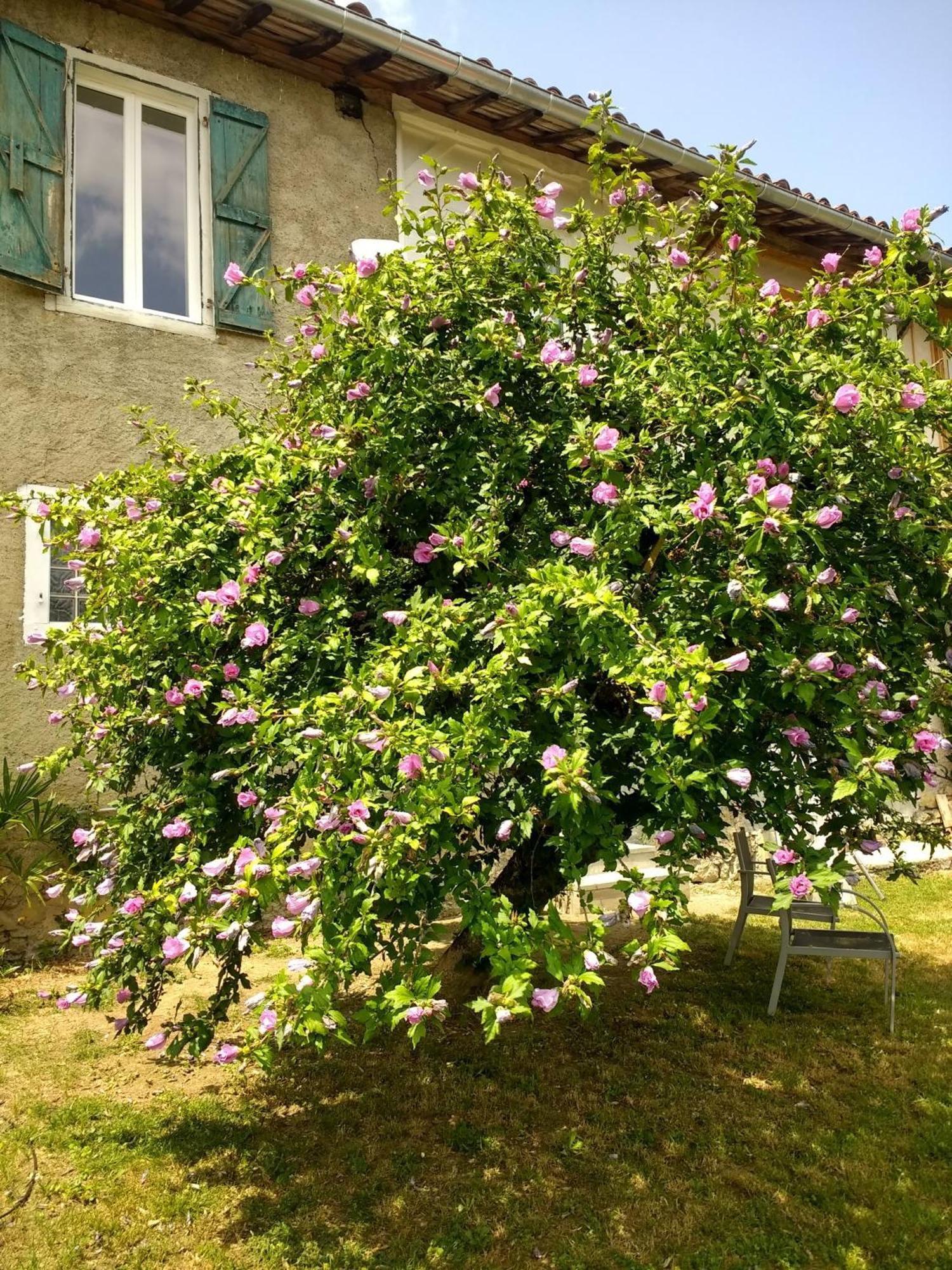 Pyrenees Vue Gite - Vues Fantastique, Parking Gratuit Sur Place & Piscine Saint Gaudens Bagian luar foto